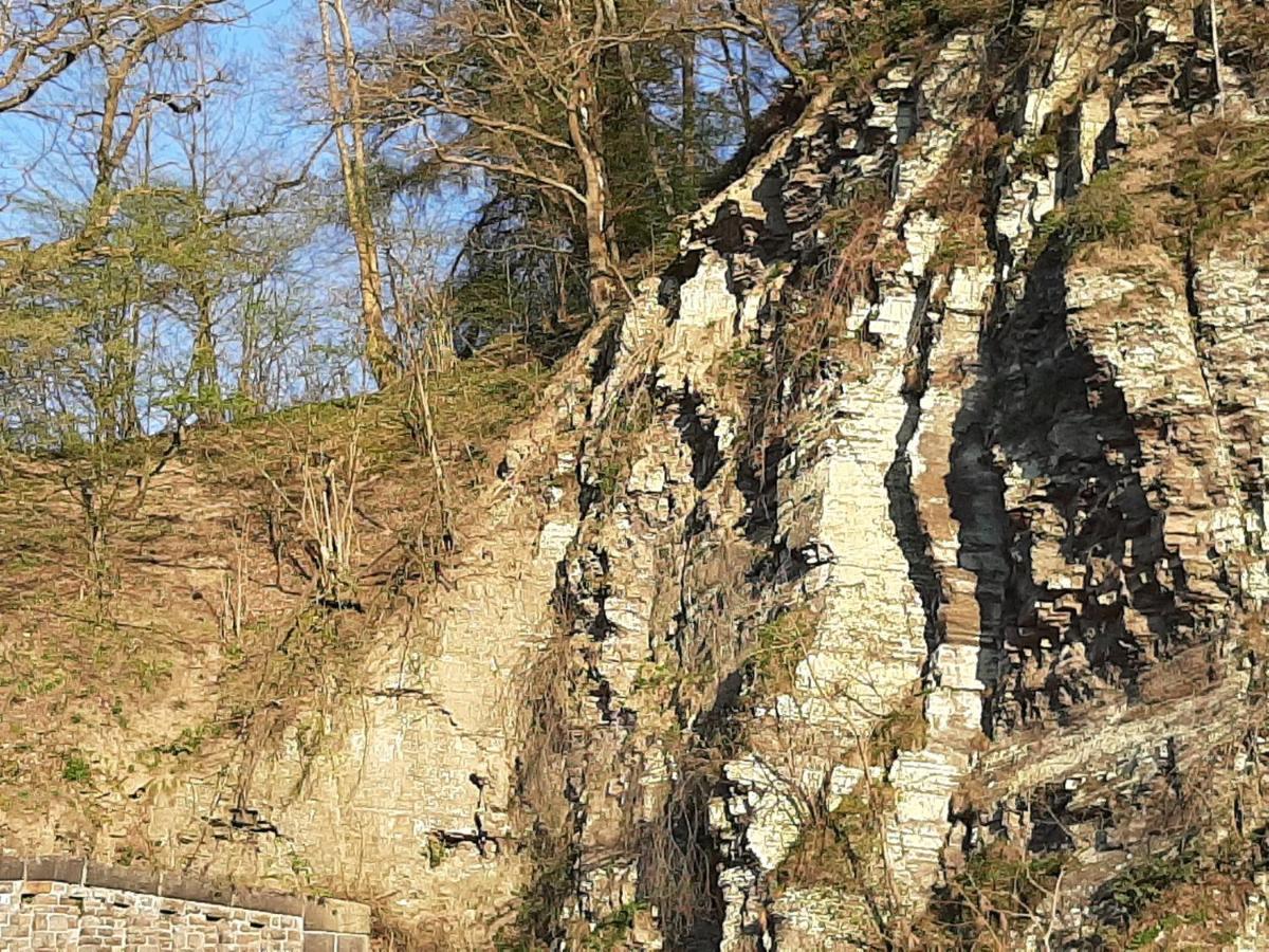 Garni-Hotel-Schaefer Schuld ภายนอก รูปภาพ